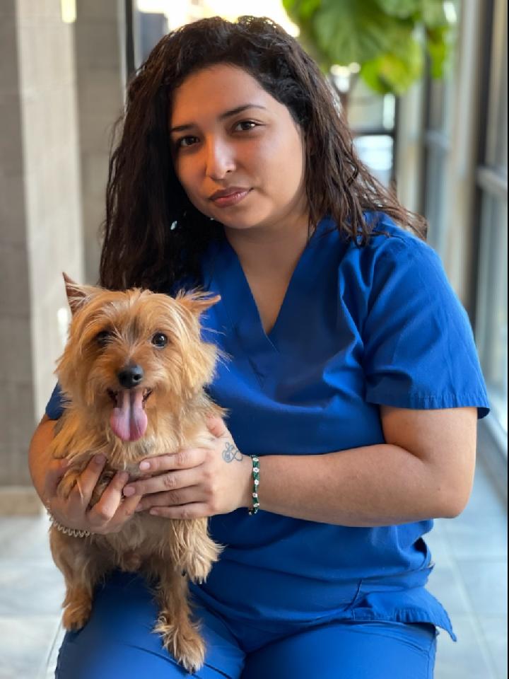 Kaila, Veterinary Assistant
